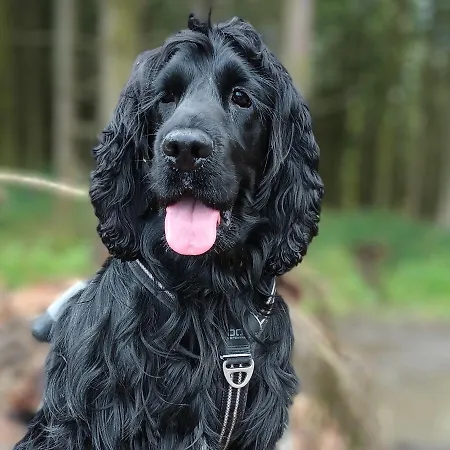 Chez Seb & Lulu, D'hotes Appartement